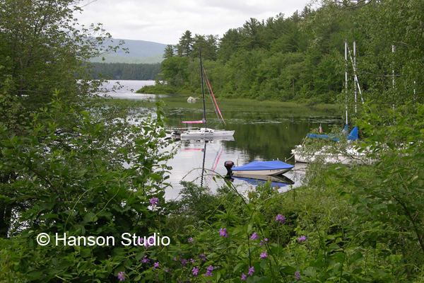 Squam Lake, NH - Lake with Flowers